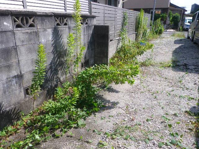 駐車場　除草作業