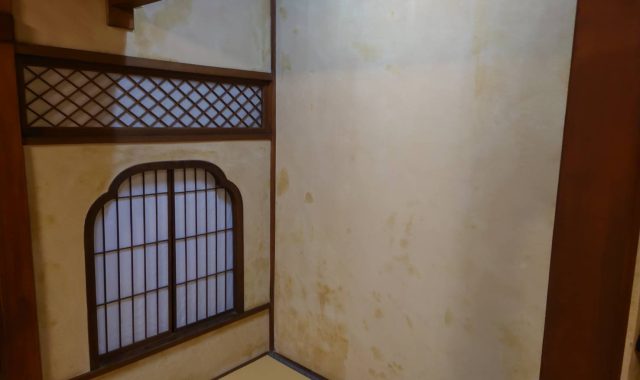 愛知県　飲食店内　塗り土壁部　除カビ作業